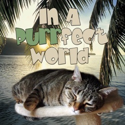 In A Purrfect World - Episode 8 The Cat's Paw of Compassion