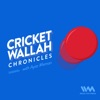 Cricketwallah Chronicles artwork
