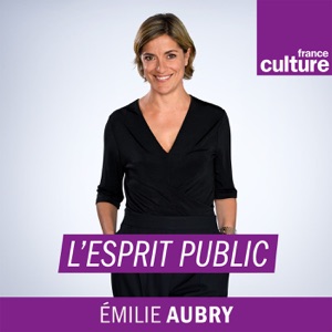 L'esprit public