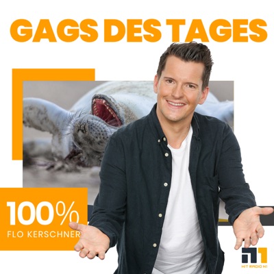 Flos Gags des Tages Flos Gags des Tages