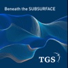 Beneath the Subsurface artwork