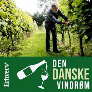 Den danske vindrøm