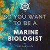 So You Want to Be a Marine Biologist artwork