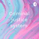 Criminal justice system 