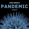 Living Through a Pandemic artwork