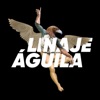 Linaje Águila artwork