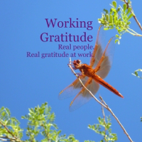 Working Gratitude with Jen Kramer