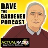 Dave The Gardener - Gardening Podcast from Actual Radio artwork