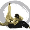 Aikido Perspectives artwork