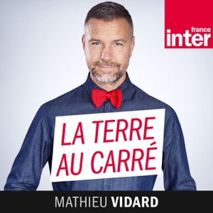 La Terre au carré