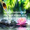 How to reduce and manage stress and anxiety in your life.