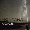 Montana Voice artwork