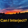 Can I Interject artwork