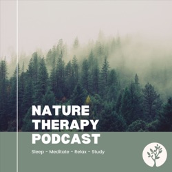 Blizzard Snowstorm and Icy Lake Sounds for Sleeping Deeply, Relaxation, Stress Relief, Tinnitus, or Soothing a Baby: Natural White Noise Sleep Aid