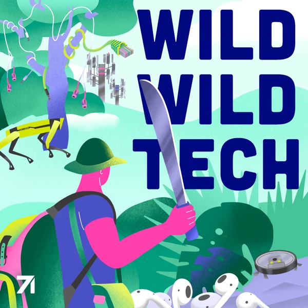 Wild Wild Tech artwork