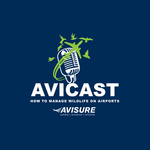 Avicast Artwork