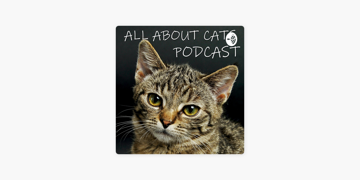 ‎All About Cats Podcast on Apple Podcasts