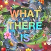 What There Is artwork