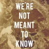 WE'RE NOT MEANT TO KNOW artwork