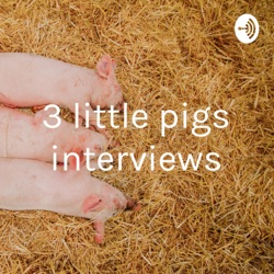 3 little pigs interviews