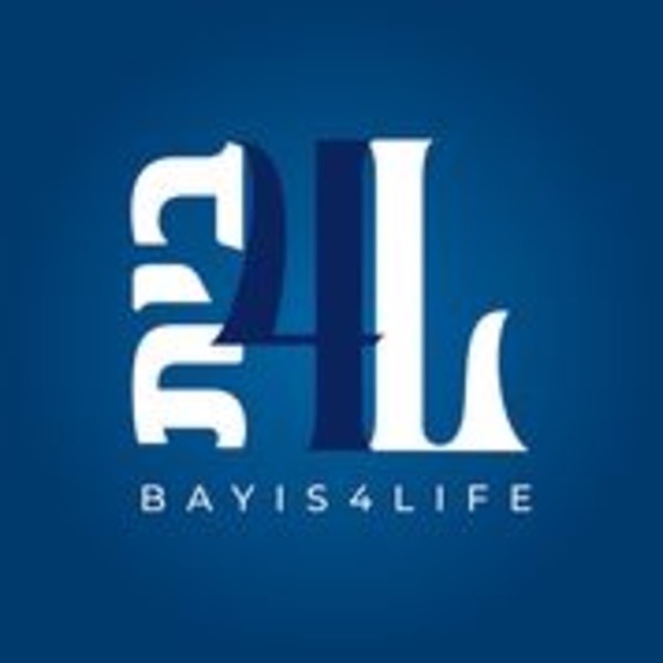 Bayis4Life Artwork