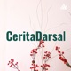 CeritaDarsal