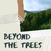 Beyond The Trees  artwork