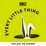 Hello, We Are Every Little Thing podcast episode