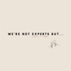 We're Not Experts, But... artwork