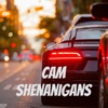 CAM Shenanigans artwork