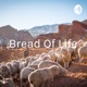 Bread Of Life - Jesus