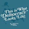 This Is What Democracy Looks Like artwork