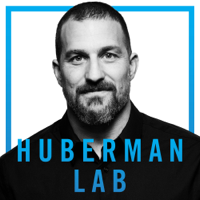 Huberman Lab Thumnail.