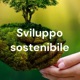 Sviluppo sostenibile
