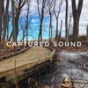 Captured Sound artwork