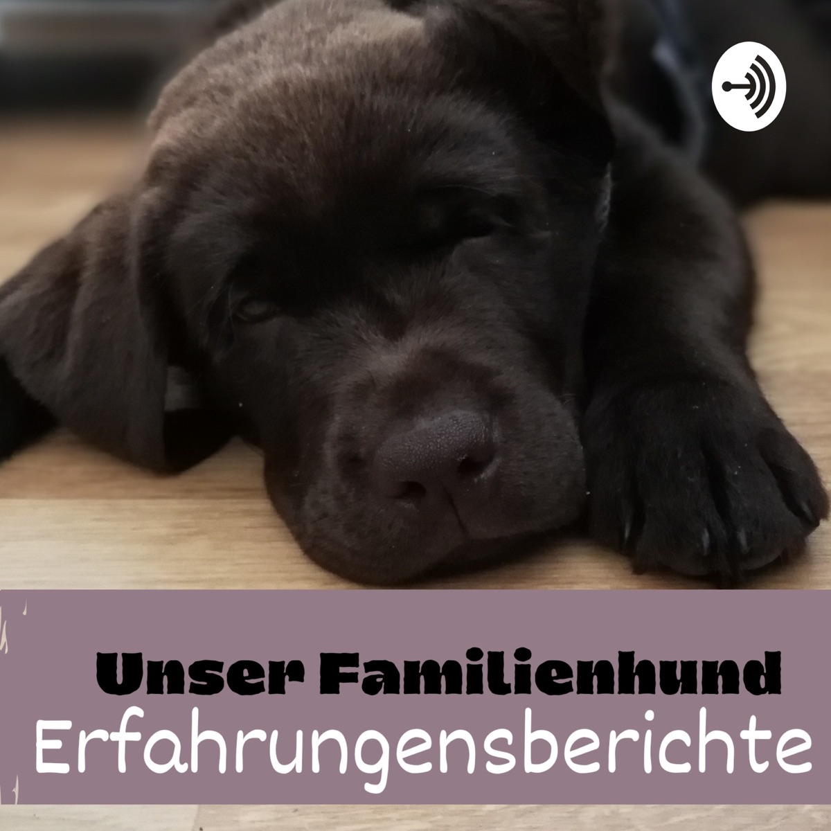 Get Uber erfahrungen For Android Free