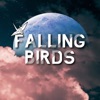 Falling Birds artwork