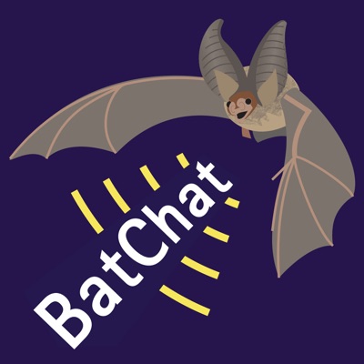 BatChat BatChat