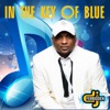 In the Key of Blue presented by DJ Ferbidden artwork
