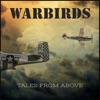 Warbirds - Tales From Above artwork