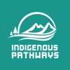 Indigenous Pathways artwork