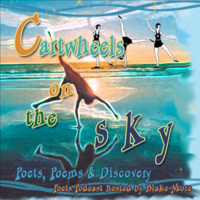 Kathy Evans on Cartwheels on the Sky