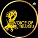 Voice Of Telugu