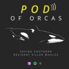 Pod of Orcas artwork