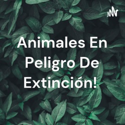 Animales En Peligro De Extinción! 