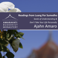 Don’t Take your Life Personally by Ajahn Sumedho - audiobook podcast
