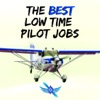 The Low Time Pilots Career Show - by Commercial Pilot in Command artwork