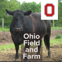 Sheep Barn: Dave Rowe, Mid-States Wool Growers