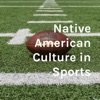 Native American Culture in Sports artwork