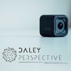 Daley Perspective artwork